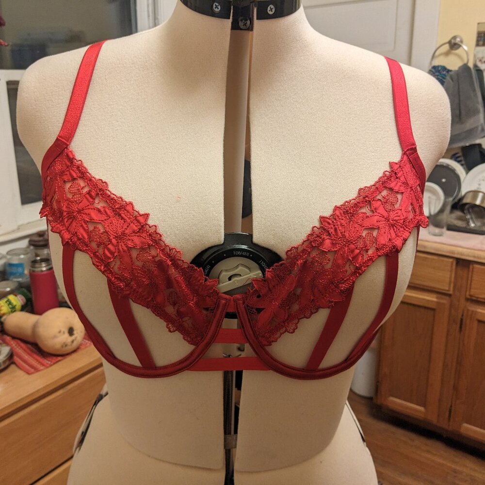VS VS Satin Ziggy Glam Floral Embroidery Strappy Open-Cup Bra in Lipstick Red